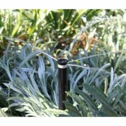 TORO Buse MPR+ FB-25 - Bubbler Détrempeur Avec Filtre - Débit Préréglé 57 L/h -Arrosage Enterré Soldes 12267004 2