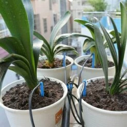 Fei Yu De Jardin,16 PCS Fl&egrave;ches Courb&eacute;es Drippers + 16PCS Tuyaux 3 / 5mm + 4PCS R&eacute;gulateurs Jardin Des Plantes Syst&egrave;me D'irrigation Pour L&eacute;gumes Fleurs Arbres Fruitiers En Pot -Arrosage Enterré Soldes 64706098 4